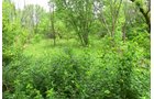 Lake County, Indiana farmland - LAND AUCTION - 147+/- ACRES OFFERED IN 3 TRACTS IN LAKE COUNTY, INDIANA